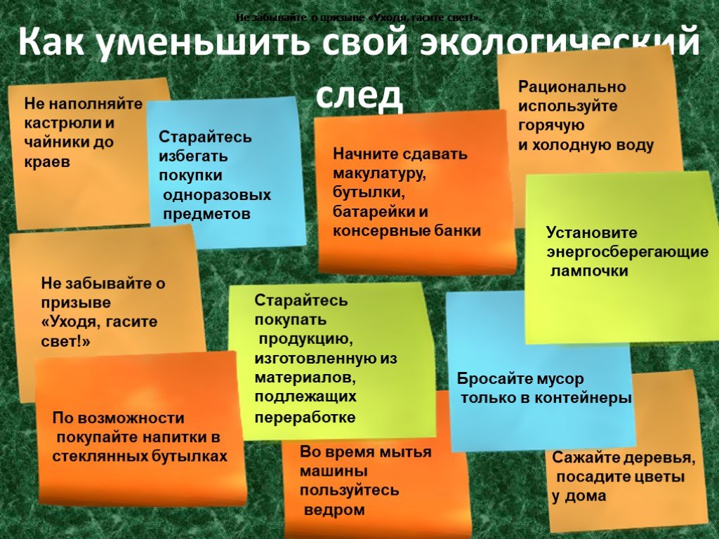 Муниципальное бюджетное образовательное учреждение дополнительного  образования «Центр детского творчества» - Новости